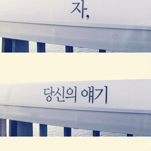 [스압]생명의 다리.jpg