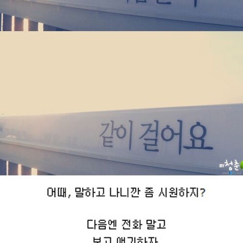 [스압]생명의 다리.jpg
