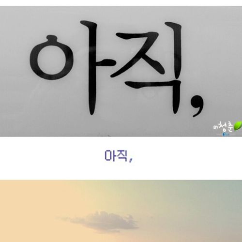 [스압]생명의 다리.jpg
