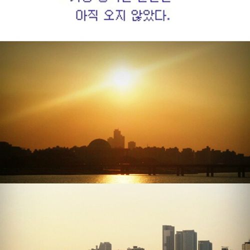 [스압]생명의 다리.jpg