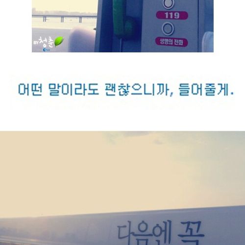 [스압]생명의 다리.jpg