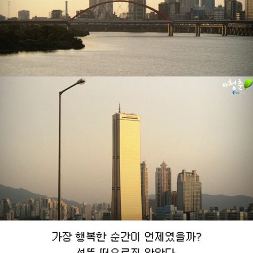 [스압]생명의 다리.jpg