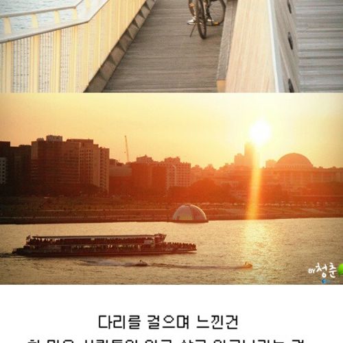 [스압]생명의 다리.jpg