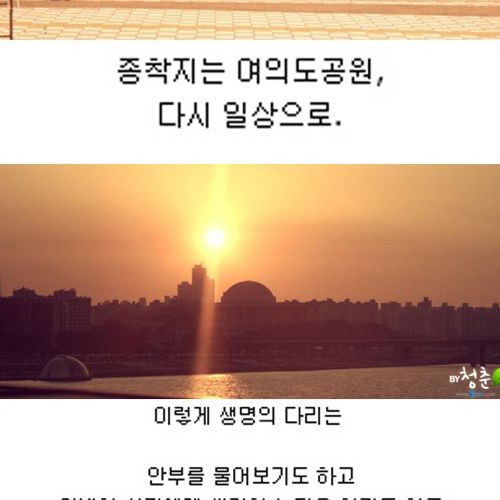 [스압]생명의 다리.jpg