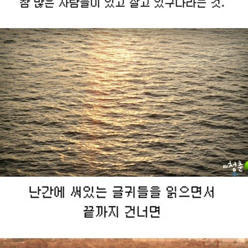 [스압]생명의 다리.jpg