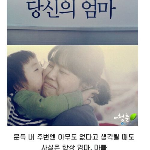 [스압]생명의 다리.jpg