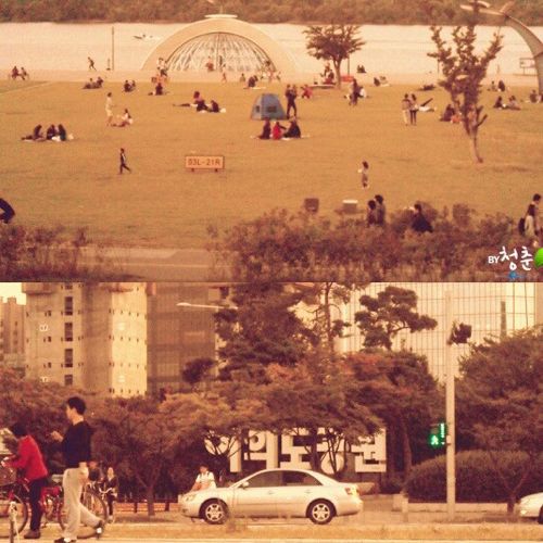 [스압]생명의 다리.jpg