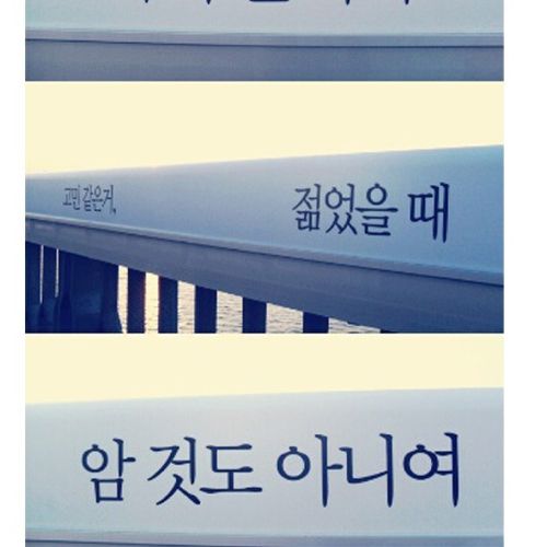 [스압]생명의 다리.jpg