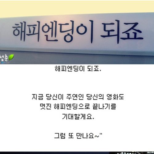 [스압]생명의 다리.jpg
