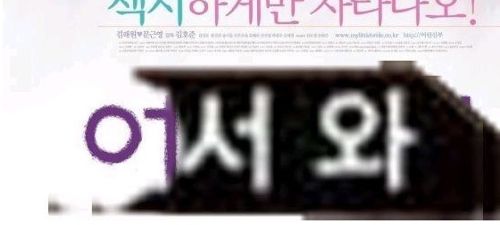 갑자기 확뜬 유행어.jpg