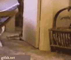 따라와.gif