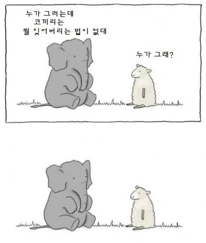 동물이야기.jpg