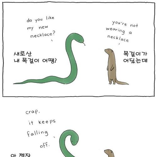 동물이야기.jpg