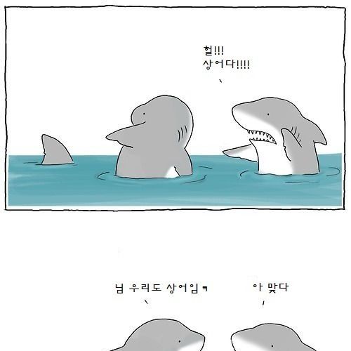 동물이야기.jpg