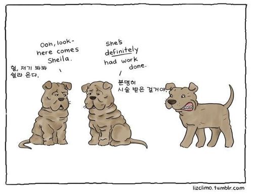 동물이야기.jpg
