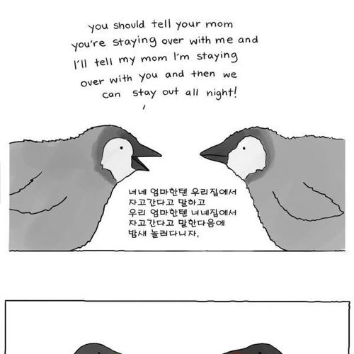 동물이야기.jpg
