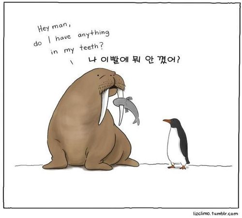 동물이야기.jpg