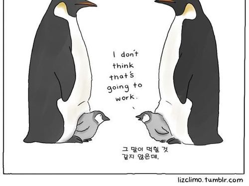 동물이야기.jpg