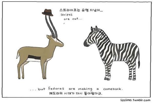 동물이야기.jpg