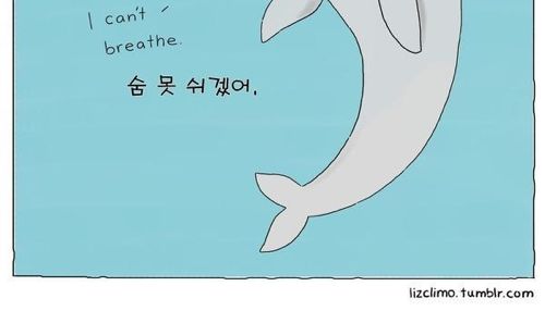 동물이야기.jpg