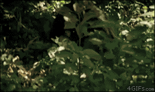 우워어어어엉.gif