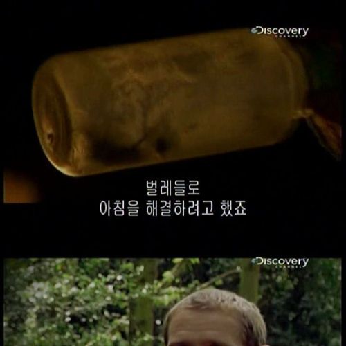 카메라맨 개새끼.jpg