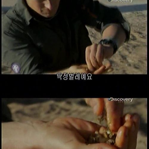 카메라맨 개새끼.jpg
