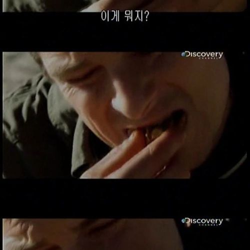 카메라맨 개새끼.jpg