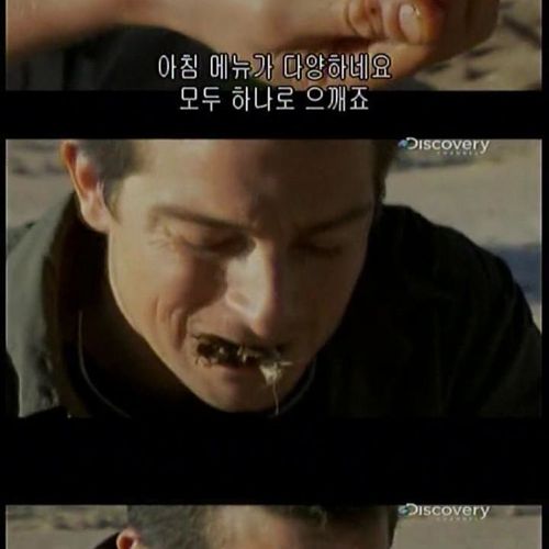 카메라맨 개새끼.jpg