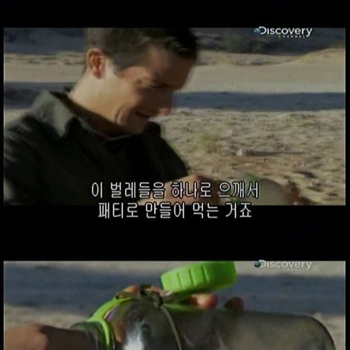 카메라맨 개새끼.jpg
