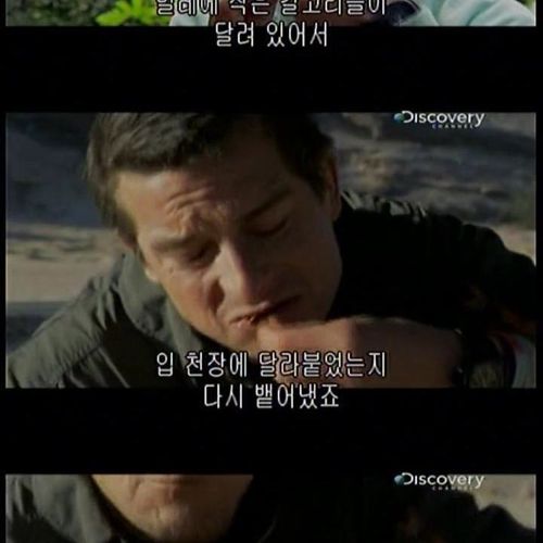 카메라맨 개새끼.jpg