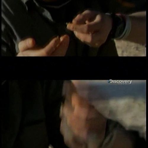 카메라맨 개새끼.jpg