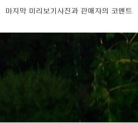 웹하드의 중딩.jpg