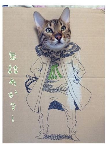 골판지에 그린 고양이.jpg