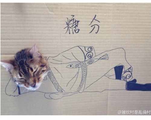 골판지에 그린 고양이.jpg
