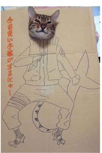 골판지에 그린 고양이.jpg