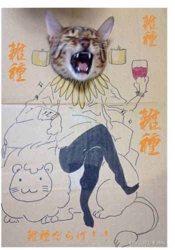 골판지에 그린 고양이.jpg
