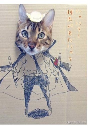 골판지에 그린 고양이.jpg