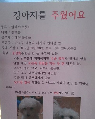 자세한 착한변태.jpg