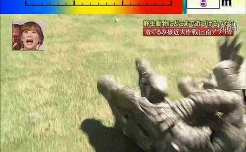 열도의 못말리는 예능1.jpg