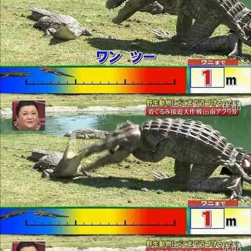 열도의 못말리는 예능1.jpg