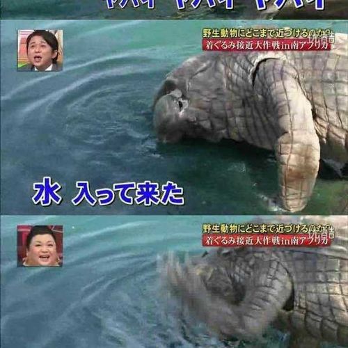 열도의 못말리는 예능1.jpg