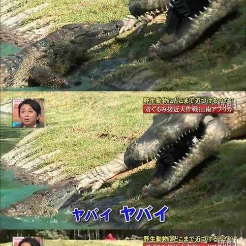 열도의 못말리는 예능1.jpg