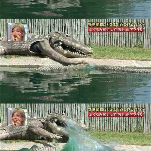 열도의 못말리는 예능1.jpg