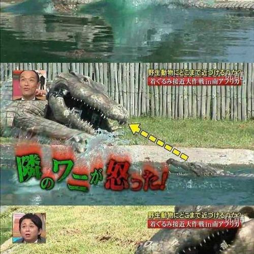열도의 못말리는 예능1.jpg