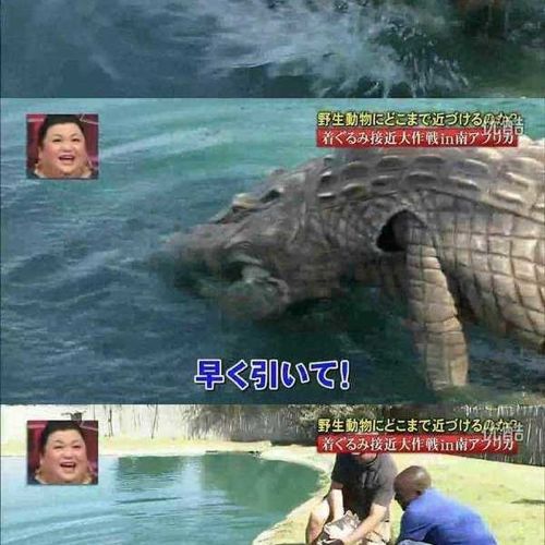 열도의 못말리는 예능1.jpg