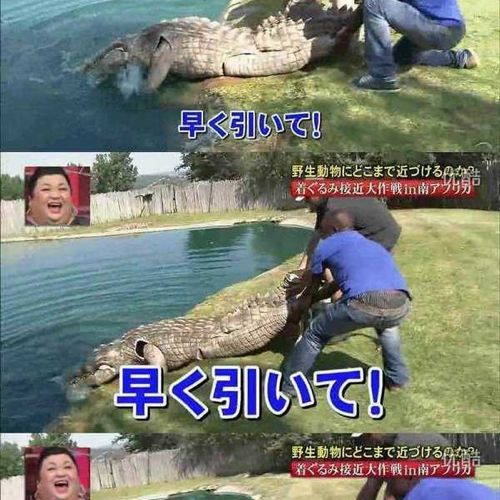 열도의 못말리는 예능1.jpg
