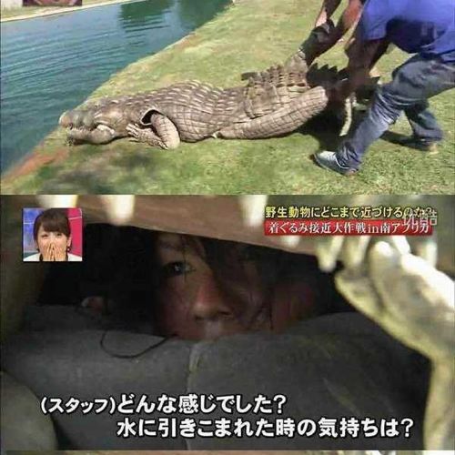 열도의 못말리는 예능1.jpg