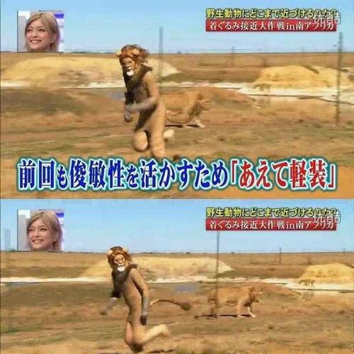 열도의 못말리는 예능2.jpg