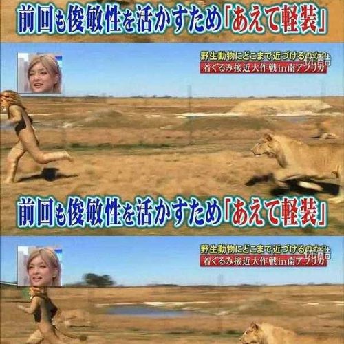 열도의 못말리는 예능2.jpg